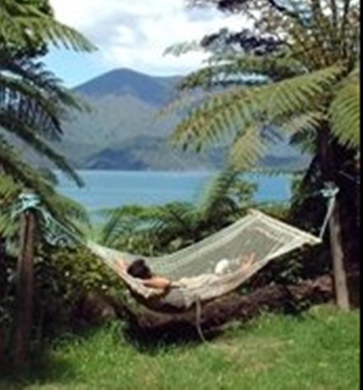 Lochmara Lodge - 20Mins By Boat From Picton Lochmara Bay Extérieur photo