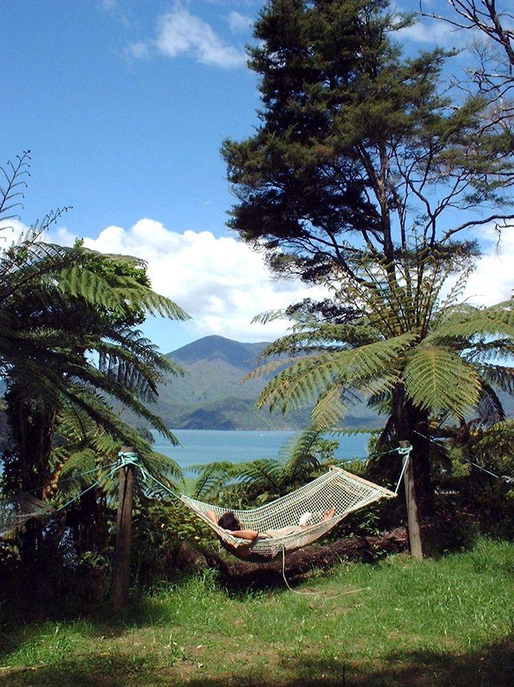 Lochmara Lodge - 20Mins By Boat From Picton Lochmara Bay Extérieur photo