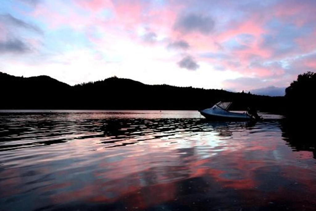Lochmara Lodge - 20Mins By Boat From Picton Lochmara Bay Extérieur photo