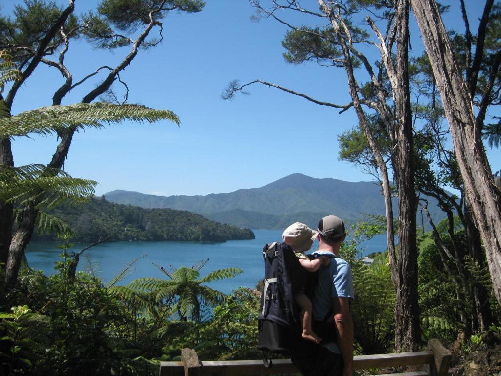Lochmara Lodge - 20Mins By Boat From Picton Lochmara Bay Extérieur photo