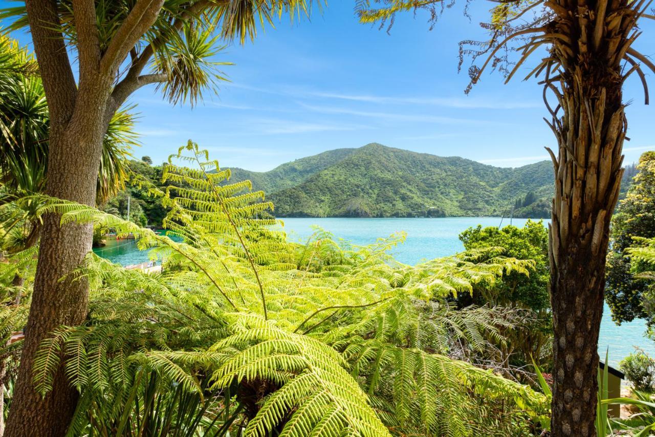 Lochmara Lodge - 20Mins By Boat From Picton Lochmara Bay Extérieur photo